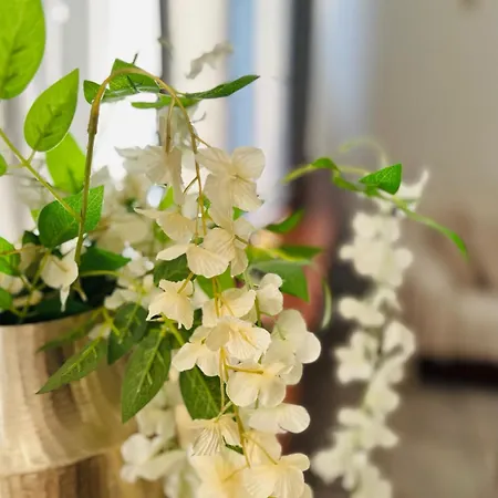 Mary Cozy House Apartament Atena